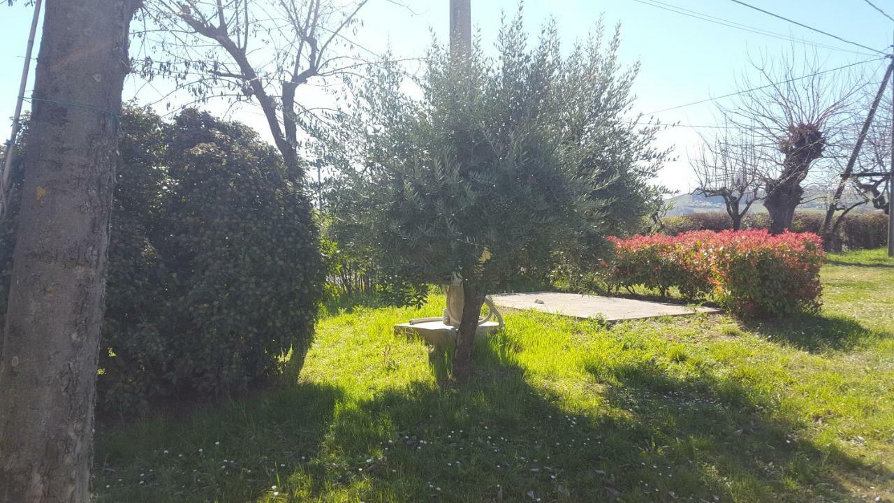 הוילה Savignano sul Panaro Casa Selene Rocchi מראה חיצוני תמונה